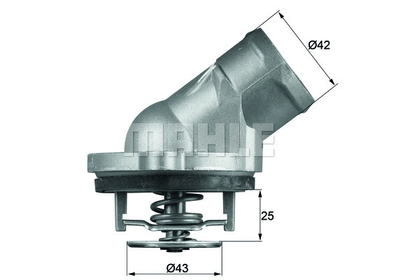Thermostat, coolant (WG1264920)