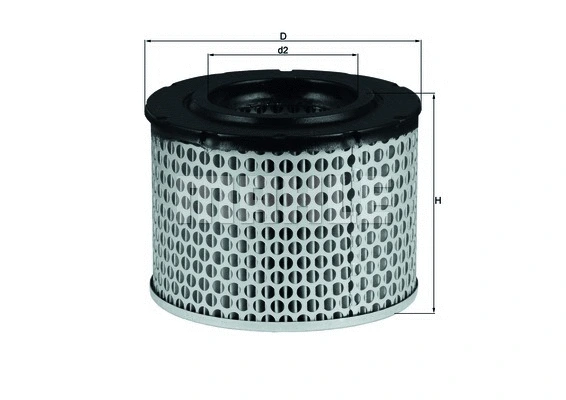 Air Filter (WG1216243)