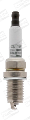 Spark Plug (WG2009701)