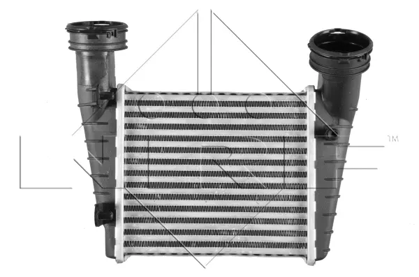 Charge Air Cooler (WG1723724)