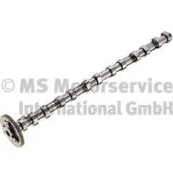 Camshaft (WG1924823)
