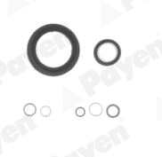 Gasket Kit, crankcase (WG1180029)