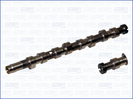 Camshaft (WG1171418)