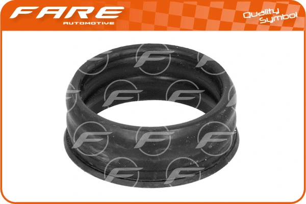 Gasket, water pump (10636)
