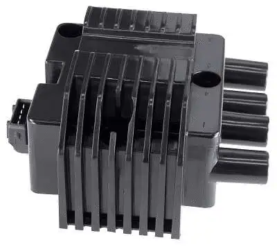 Ignition Coil (D46200)