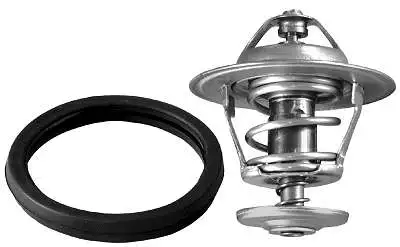 Thermostat, coolant (D37309.92)