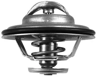 Thermostat, coolant (D37398.79)