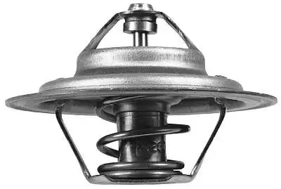 Thermostat, coolant (D37338.82)