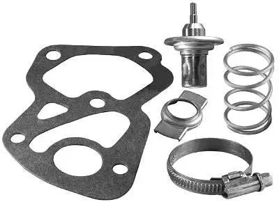 Thermostat, coolant (D37244.87)