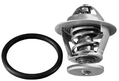 Thermostat, coolant (D37256.82)