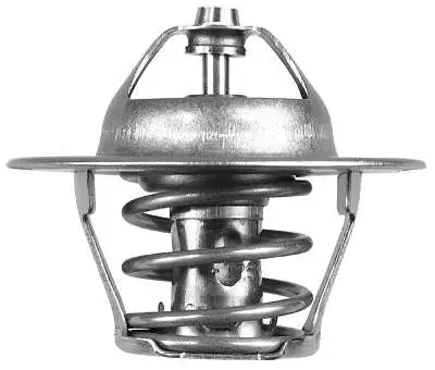 Thermostat, coolant (D37207.82)