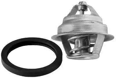 Thermostat, coolant (D37217.82)