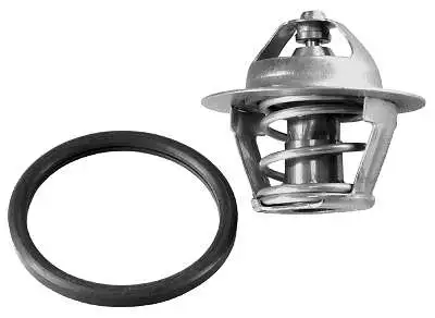 Thermostat, coolant (D37271.89)