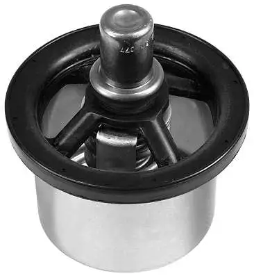 Thermostat, coolant (D37332.88)