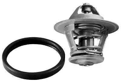 Thermostat, coolant (D37205.91)