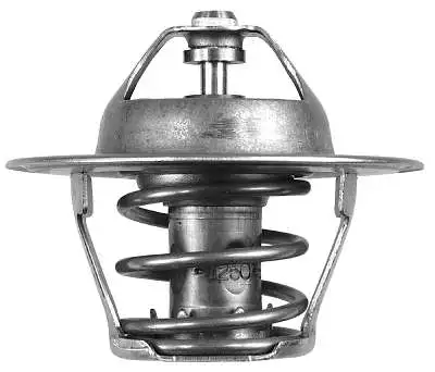 Thermostat, coolant (D37278.82)