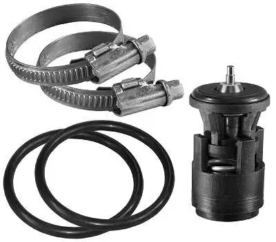 Thermostat, coolant (D37245.87)