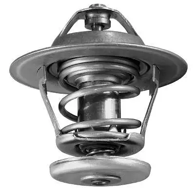 Thermostat, coolant (D37286.80)