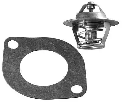 Thermostat, coolant (D37218.82)