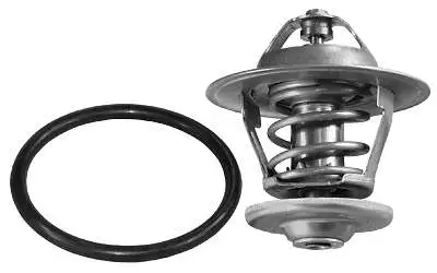 Thermostat, coolant (D37288.87)
