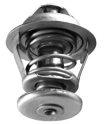 Thermostat, coolant (D37302.82)