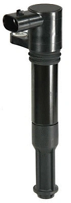 Ignition Coil (D46288)