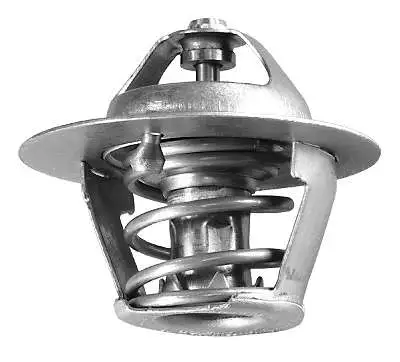 Thermostat, coolant (D37254.82)