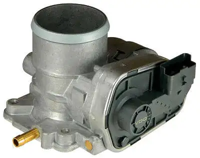 Throttle Body (A2C95430300)