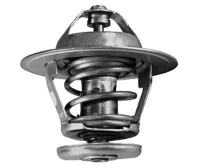 Thermostat, coolant (D37258.82)