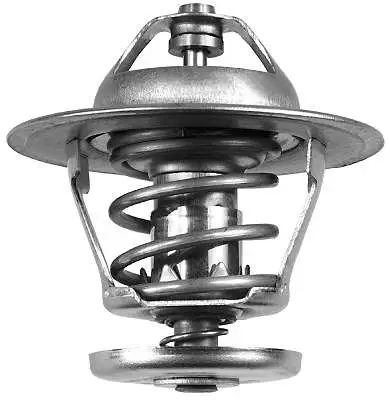 Thermostat, coolant (D37286.82)