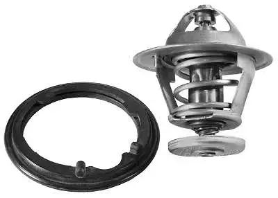 Thermostat, coolant (D37253.77)