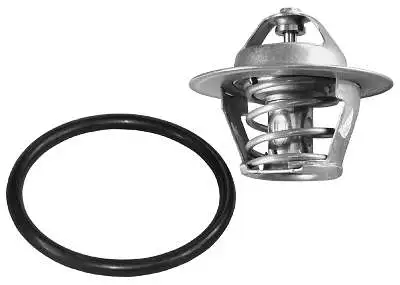 Thermostat, coolant (D37294.87)