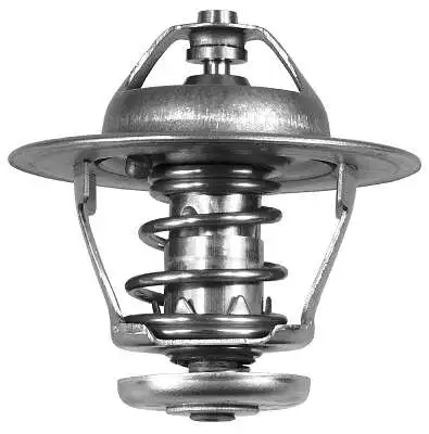 Thermostat, coolant (D37118.82)