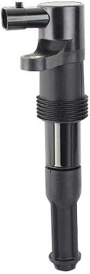 Ignition Coil (D46957)