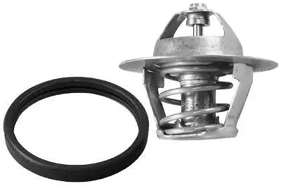 Thermostat, coolant (D37365.89)