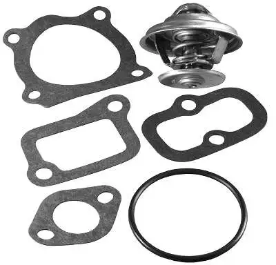 Thermostat, coolant (D37236.83)