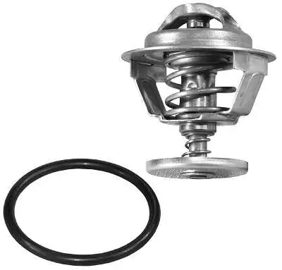 Thermostat, coolant (D37265.82)