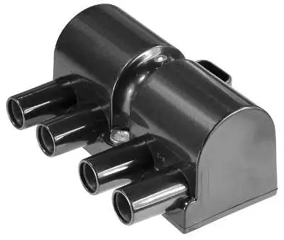 Ignition Coil (D46013)