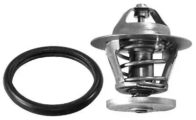 Thermostat, coolant (D37239.88)