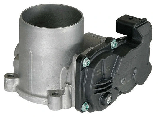 Throttle Body (D40823804)