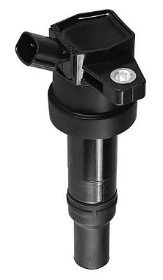 Ignition Coil (D46924)