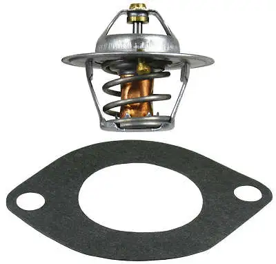 Thermostat, coolant (D37218.92)