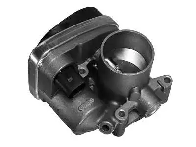 Throttle Body (D40837302)