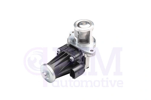 EGR Valve (40720080)