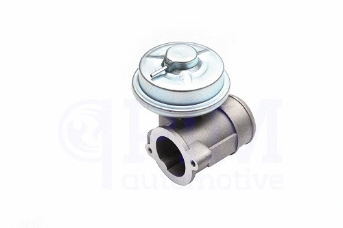 EGR Valve (40760171)