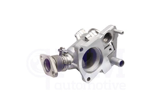 EGR Valve (40740066)