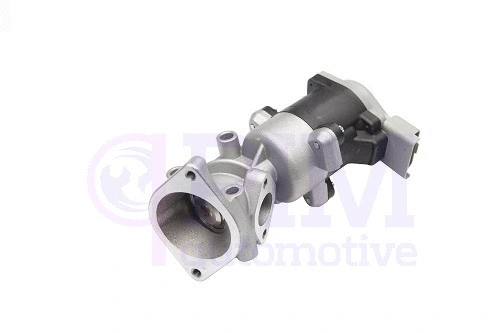 EGR Valve (40900091)