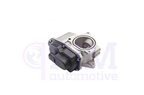 EGR Valve (40710065)