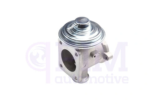 EGR Valve (40730189)