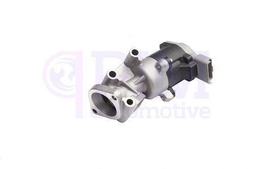 EGR Valve (40800018)
